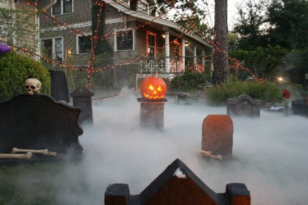 Front Lawn Fog